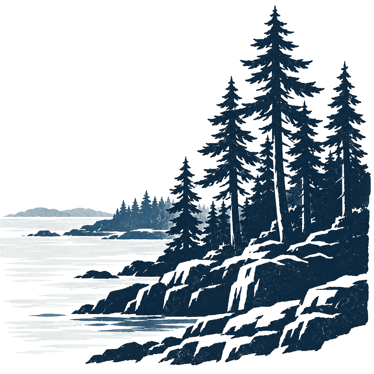 pine tree on coastline background